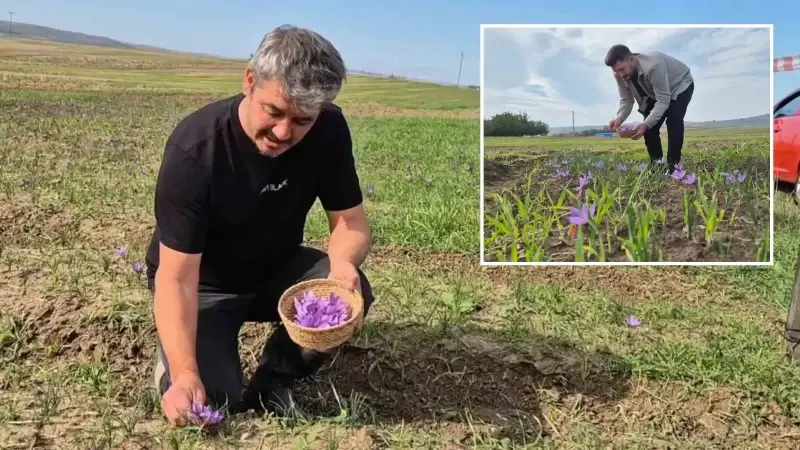 Topraktan servet fışkırıyor: Kilosunun fiyatı 600 bin TL! Henüz çok bilinmiyor 