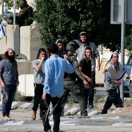 الضفة.. مستوطنون إسرائيليون يعتدون على متضامنين أجانب بأريحا