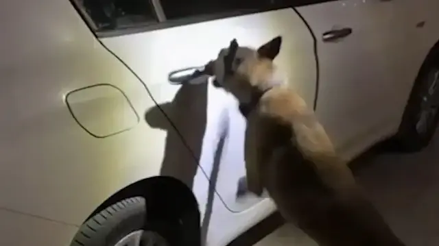 Afyonkarahisar’da 11 kilo uyuşturucuyla yakalanan şüpheli tutuklandı