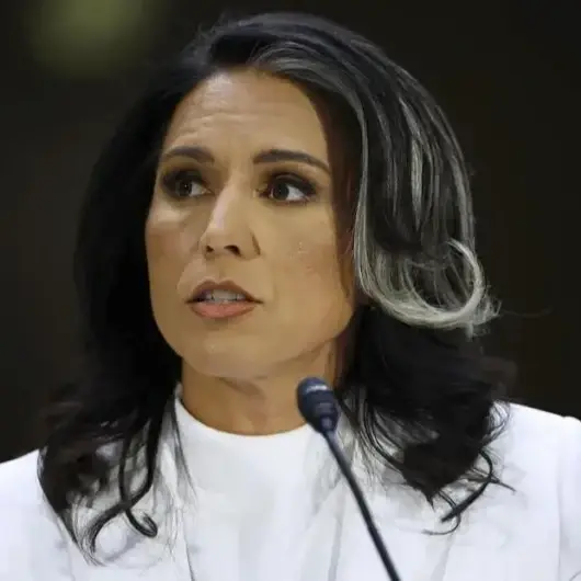 В Израиль прибыла глава национальной разведки США