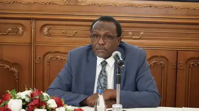 سفير السودان بأنقرة يدعو لتحرك دولي حيال "جرائم" "الدعم السريع" بالفاشر