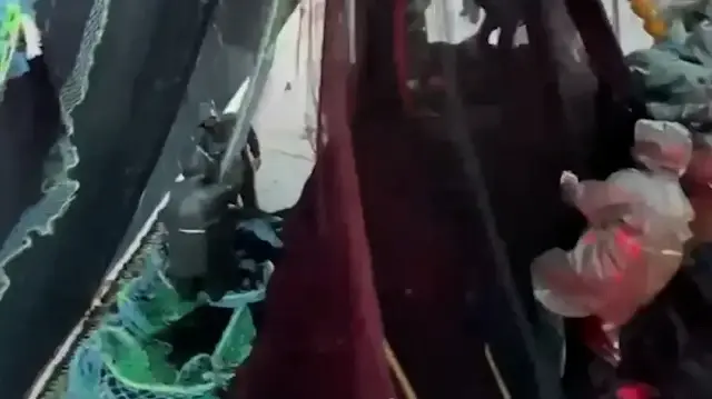 Balıkçılar hamsi ve sardalya bereketiyle limana döndü