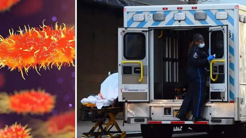 FDA, 18 eyalette bakteri bulaşan 27 kişiden 25'inin hastaneye kaldırıldığını açıkladı.