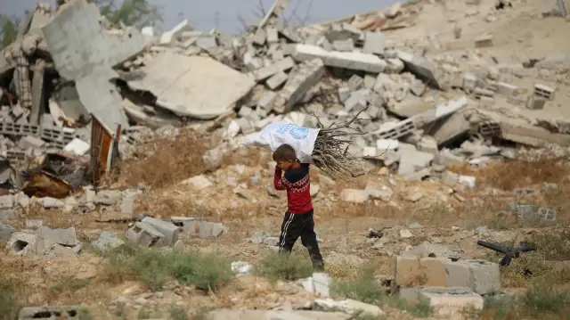 Un enfant palestinien transporte des branches pour cuisiner en raison de la pénurie de combustibles dans le village de Juhr al Diek, dans la bande de Gaza.