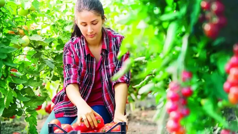 Kadın eliyle tarım yeniden doğuyor