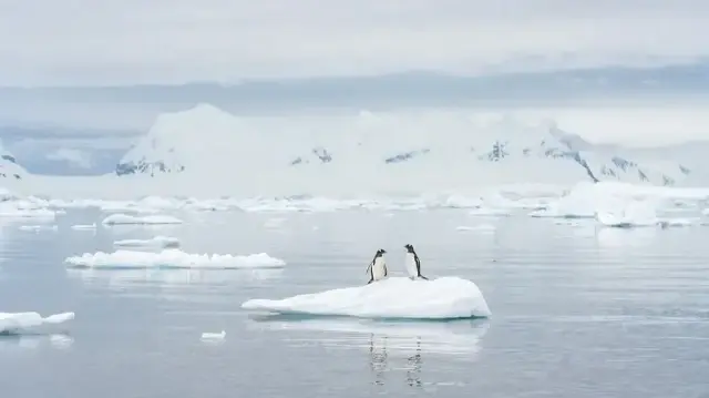 Antarctic glacier retreats 8 kilometers in two months, study finds