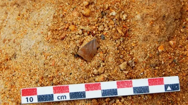 Des fouilles près du lac Turkana révèlent plus de 1 300 outils en pierre taillée, témoignant de l’ingéniosité des premiers hominidés.