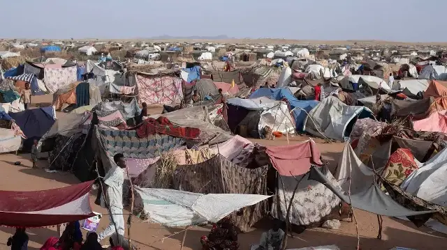 "الهجرة الدولية": نزوح نحو 81 ألفا من الفاشر ومحيطها