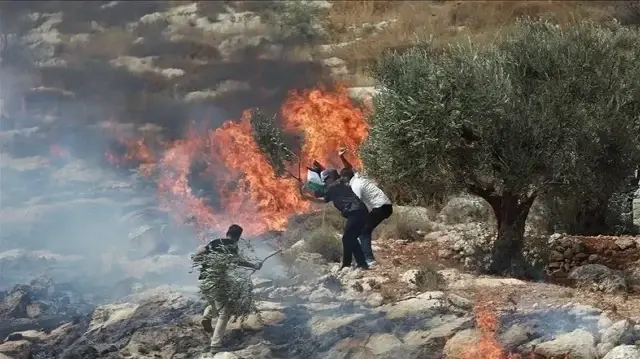 مستوطنون يصيبون 5 فلسطينيين ويحرقون أرضا زراعية في هجمات بالضفة