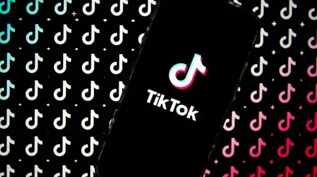 France investigates TikTok over suicide risks to minors