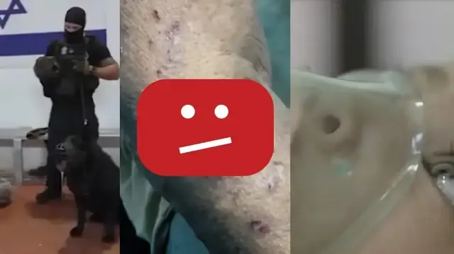 Коллаж: The Intercept / Скриншоты: Палестинский центр по правам человека, Центр по правам человека «Аль-Мезан»