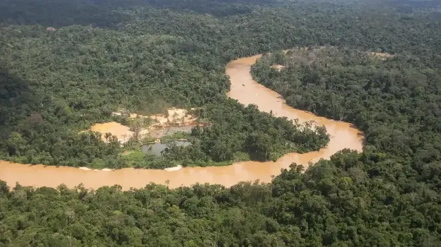 Amazon nearing irreversible tipping point, scientists warn before COP30