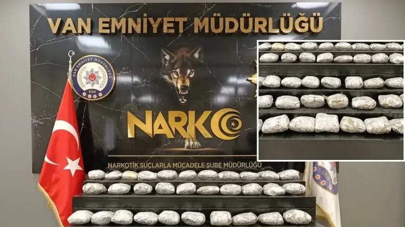 Van'da skunk ele geçirildi