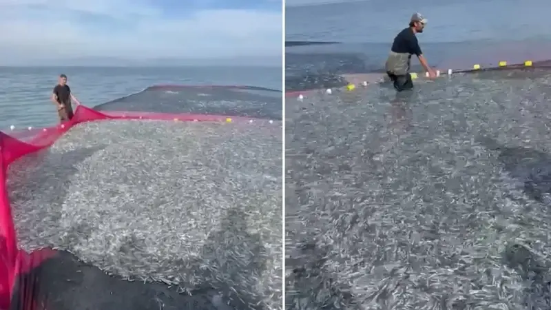 Balıkçılar gölde tek seferde rekor kırdı.