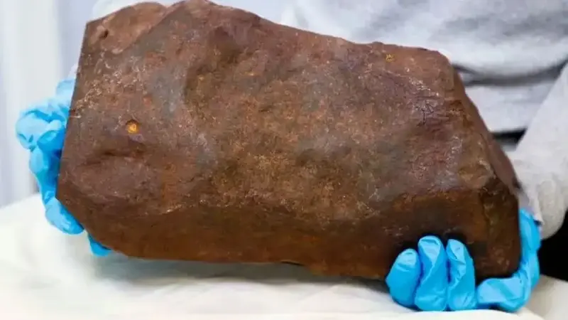 4,6 milyar yıllık uzaydan gelen bu meteoritin aynı zamanda altından çok daha değerli olduğu ortaya çıktı.