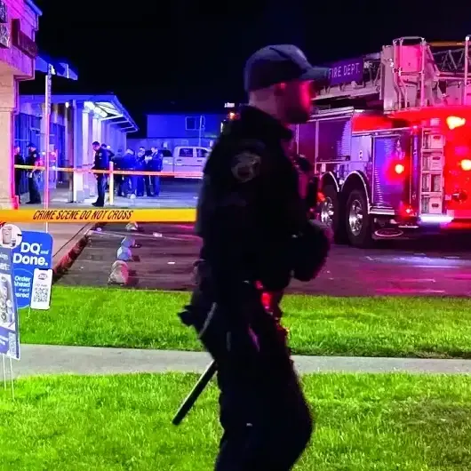 Aile toplantısına silahlı baskın: 4 ölü