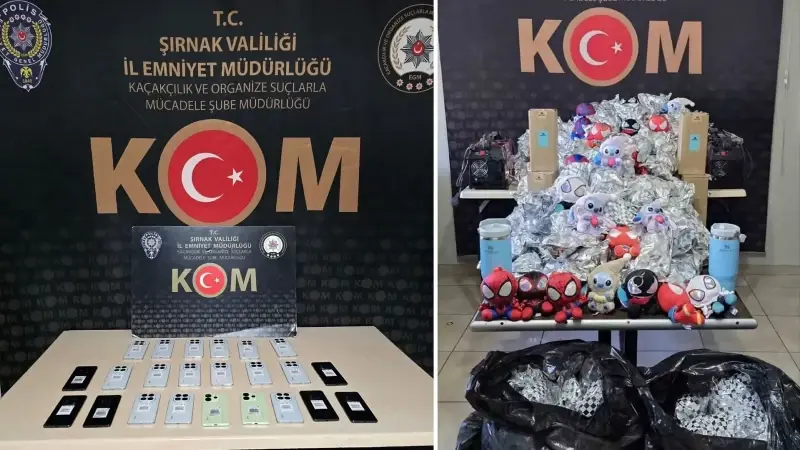 Şırnak Valiliği İl Jandarma Komutanlığı operasyonun detaylarını paylaştı.