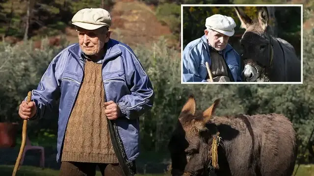 24 yıllık yol arkadaşlığı: Görme engelli Raif dede yolunu yıllardır eşeği 'Magare' sayesinde buluyor