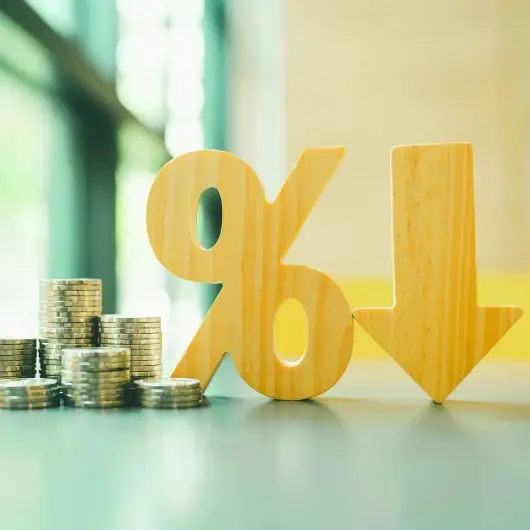 Merkez'den beklenti beş puanlık faiz indirimi