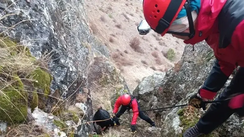 Kayalıklarda mahsur kalan keçiler JAK timi tarafından kurtarıldı