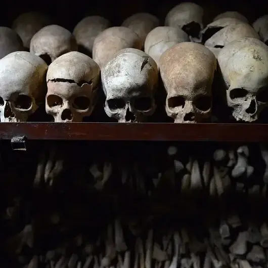 Rwanda : la Banque de France visée par une plainte pour complicité de génocide