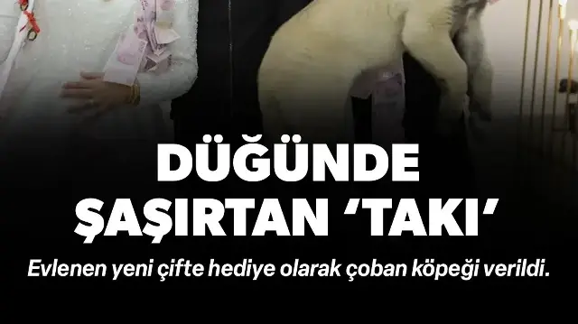 Gelin ve damada şaşırtan düğün hediyesi