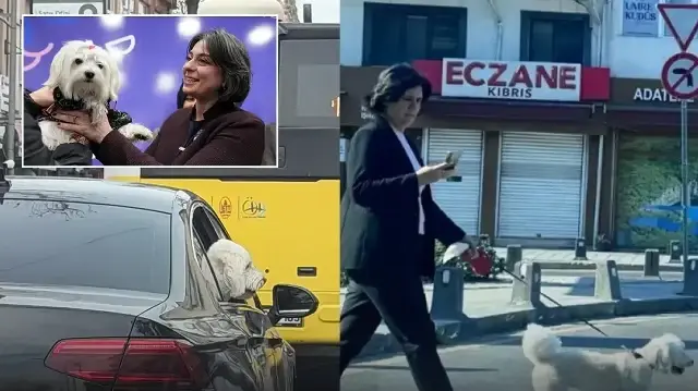 Üsküdar'da tartışılan fotoğraf: Sinem Dedetaş köpeğine belediyenin makam aracını mı tahsis etti?