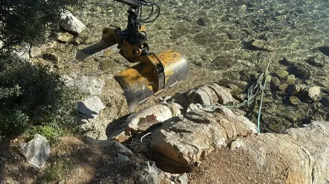 Bodrum'da ölü caretta caretta kıyıya vurdu
