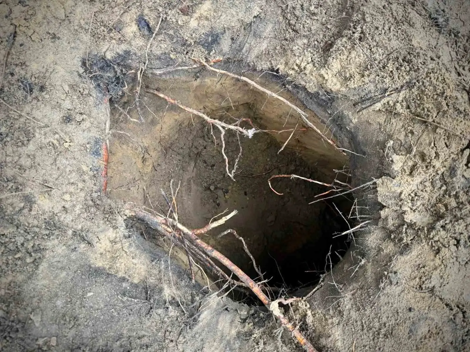 Belarus’ta 180 kaçak göçmen kazdıkları tünelle Polonya’ya geçti