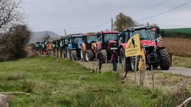Des manifestants de la Confédération paysanne manifestant contre l'abattage d'un troupeau de 200 vaches affecté par la dermatose nodulaire contagieuse, à Bordes-sur-Arize, le 11 décembre 2025.