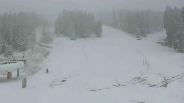 Ilgaz Dağı'nda kar kalınlığı 20 santimetreye ulaştı