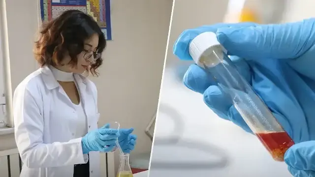 Çöpten çıkardıkları altına dönüştü: Bir kilodan yüzde 25 verim alındı, zeytinyağına alternatif olacak