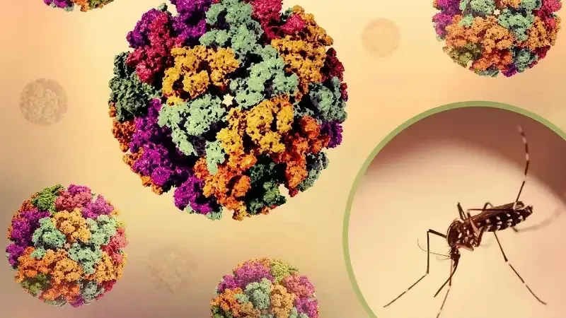 Küresel ısınma hayvanlardan insanlara bulaşan hastalıkları artırabilir