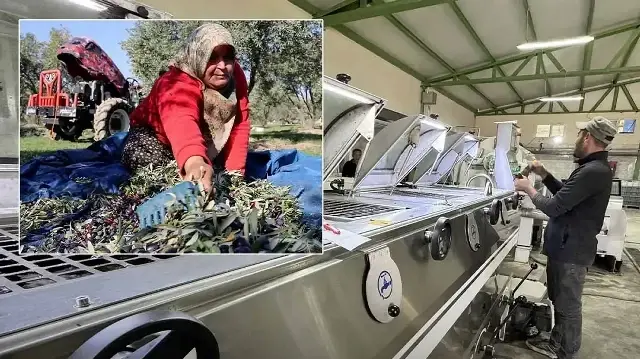 Yaşadığı şehre fabrika kurup tüm mahalleyi işe aldı: 10 milyon liralık yatırım ve yüzde 65 hibe ile yılda 250 ton ürün ihraç ediyor