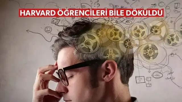 Sadece 3 soruda zekanızı sınayan 'Dünyanın en kısa IQ testi' viral oldu: Harvard öğrencileri bile döküldü