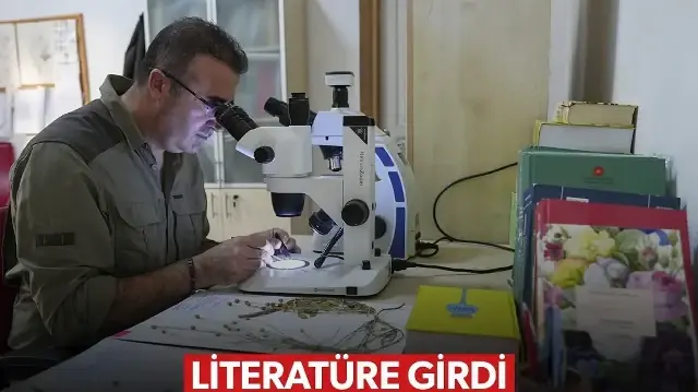 Emekli öğretmenin yürüyüş yaparken fark ettiği bitki literatüre girdi: Çameli pelemiri Denizli'de keşfedildi
