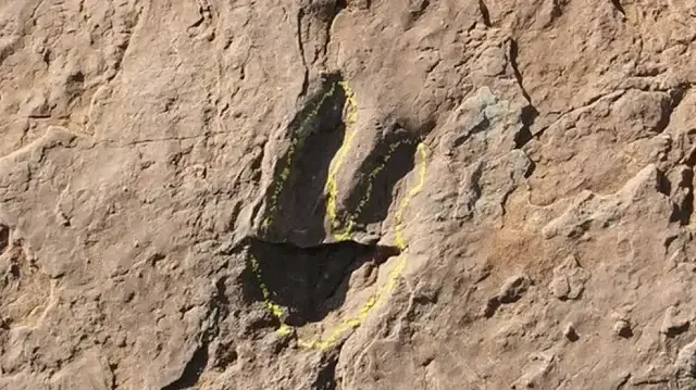 Massive 210-million-year-old dinosaur track site discovered in Italian Alps