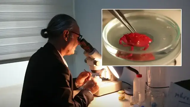 Türkiye'de ilk defa görüldü: 'Gelecek yıllarda daha yoğun şekilde görme ihtimalimiz var'