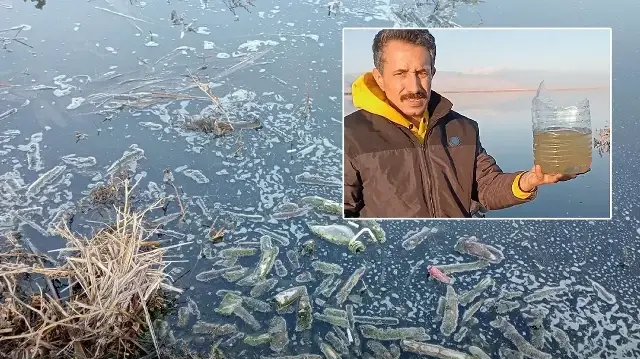 'Atıklar Eber Gölü'ndeki yaşamı yok etti, yaşam tamamen bitti, hiçbir canlı kalmadı: 365 gün 7/24 korunması gerekiyor