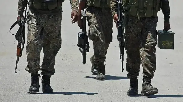 Senior Pakistani official killed in militant ambush in northwest