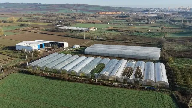 Tekirdağ’da üreticilere devlet destekli sera naylonu dağıtıldı