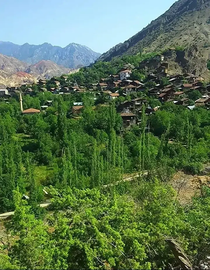 مسجدِ زیر آب رفته در شمال‌شرق ترکیه دوباره دیده شد+ عکس