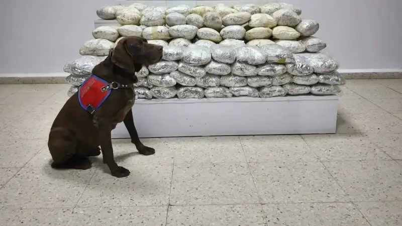 Şüphelilerin yakalanmasına yönelik çalışma başlatıldı
