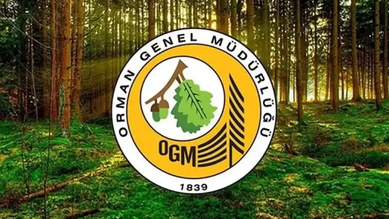 OGM alımları