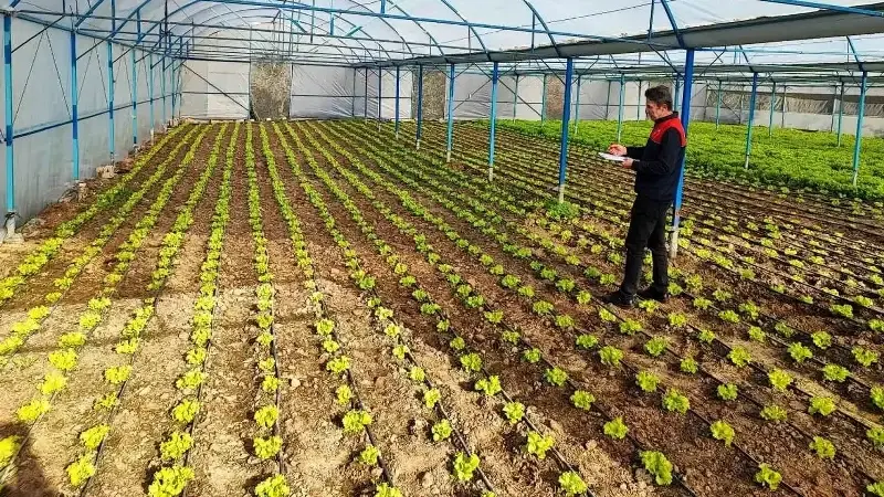 BABAESKİ İLÇE TARIM VE ORMAN MÜDÜRLÜĞÜ TEKNİK EKİPLERİ, SERA ALANLARINA YÖNELİK "KAPALI ORTAMDA BİTKİSEL ÜRETİM SİSTEMİ" RESEN KAYIT ÇALIŞMALARINI GERÇEKLEŞTİRDİ.