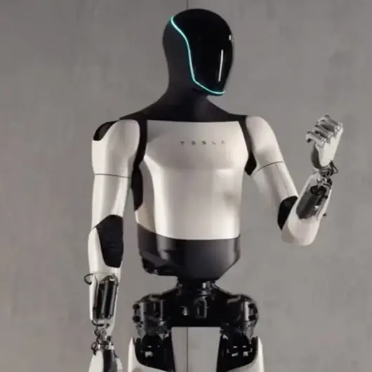 Musk’ın robotları geliyor: Aile ve toplum bu fırtınayı atlatabilir mi?