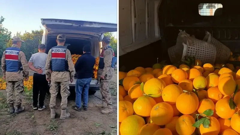 Şüpheliler gözaltına alınırken olayla ilgili inceleme başlatıldı.