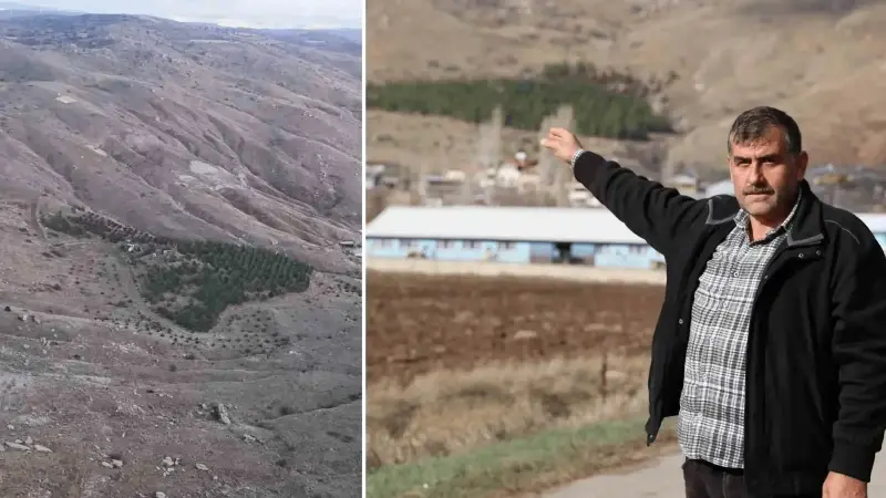 Sivas'ın en değersiz tarlasında fark etti: İki arkadaş harekete geçti, tam 3 bin tane, her birine farklı isim verildi