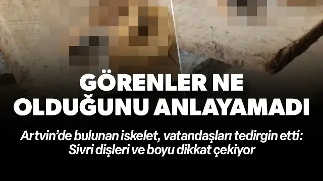 Hangi hayvana ait olduğu bilinmiyor: Artvin'de 55 santim iskelet bulundu