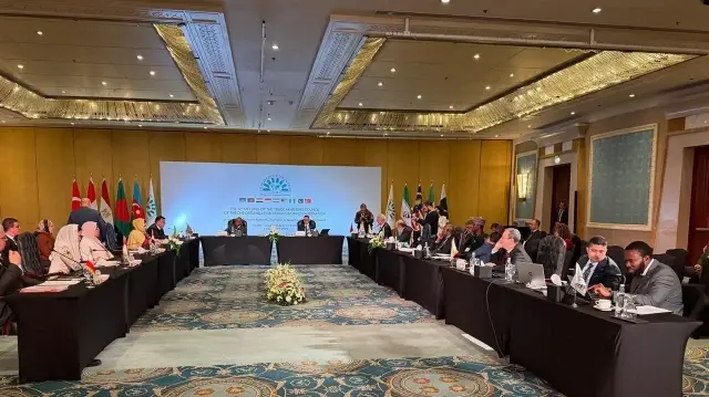 4-я встреча министров торговли стран-членов ОЭС D-8